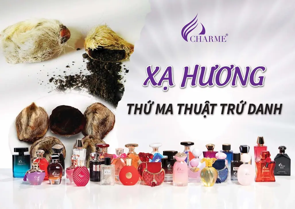 Thứ "Ma Thuật" Trứ Danh Mang Tên Xạ Hương Cùng Các Mẫu Nước Hoa Charme Ấn Tượng