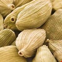 Bạch đậu khấu