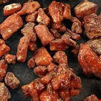 Bồ đề