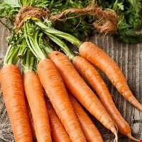 Củ cà rốt