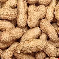 Đậu phộng