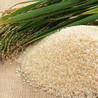 Gạo Basmati
