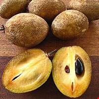 Hồng xiêm (Sa-pô-chê)