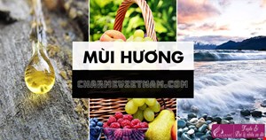 Mùi hương nước hoa