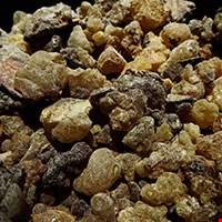 Nhựa thơm Myrrh Indonesia