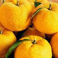 Quả Yuzu