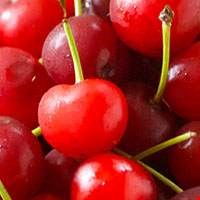 Quả anh đào chua