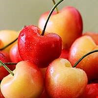 Quả anh đào vàng