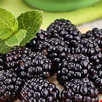  Quả mâm xôi đen