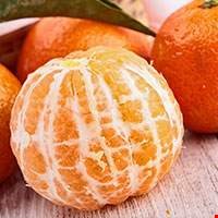 Quả quýt