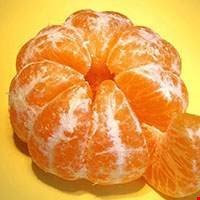 Quả quýt hồng Sicili