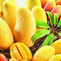 Quả xoài ướp lạnh