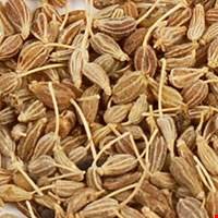 Tiểu hồi hương