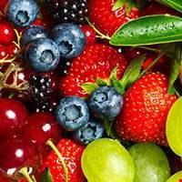 Trái cây mộng nước dại