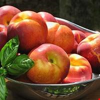 Trái xuân đào đỏ