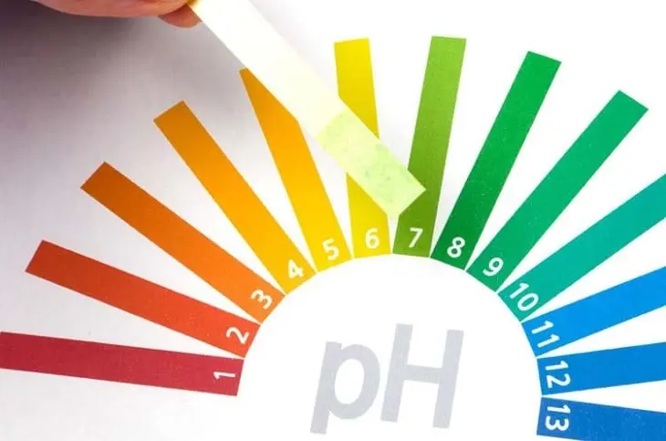 Toner là gì và toner nào tốt cho từng loại da?