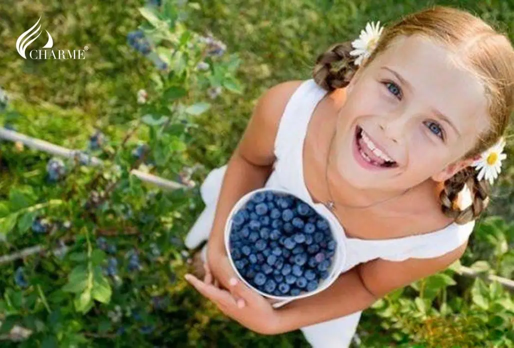 Quả việt quất (Blueberry) có tác dụng gì và sử dụng như thế nào là tốt nhất?