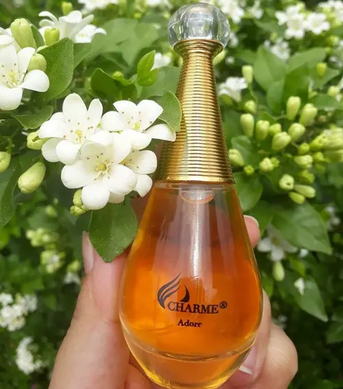 Nước hoa Nữ Charme Adore 25ml